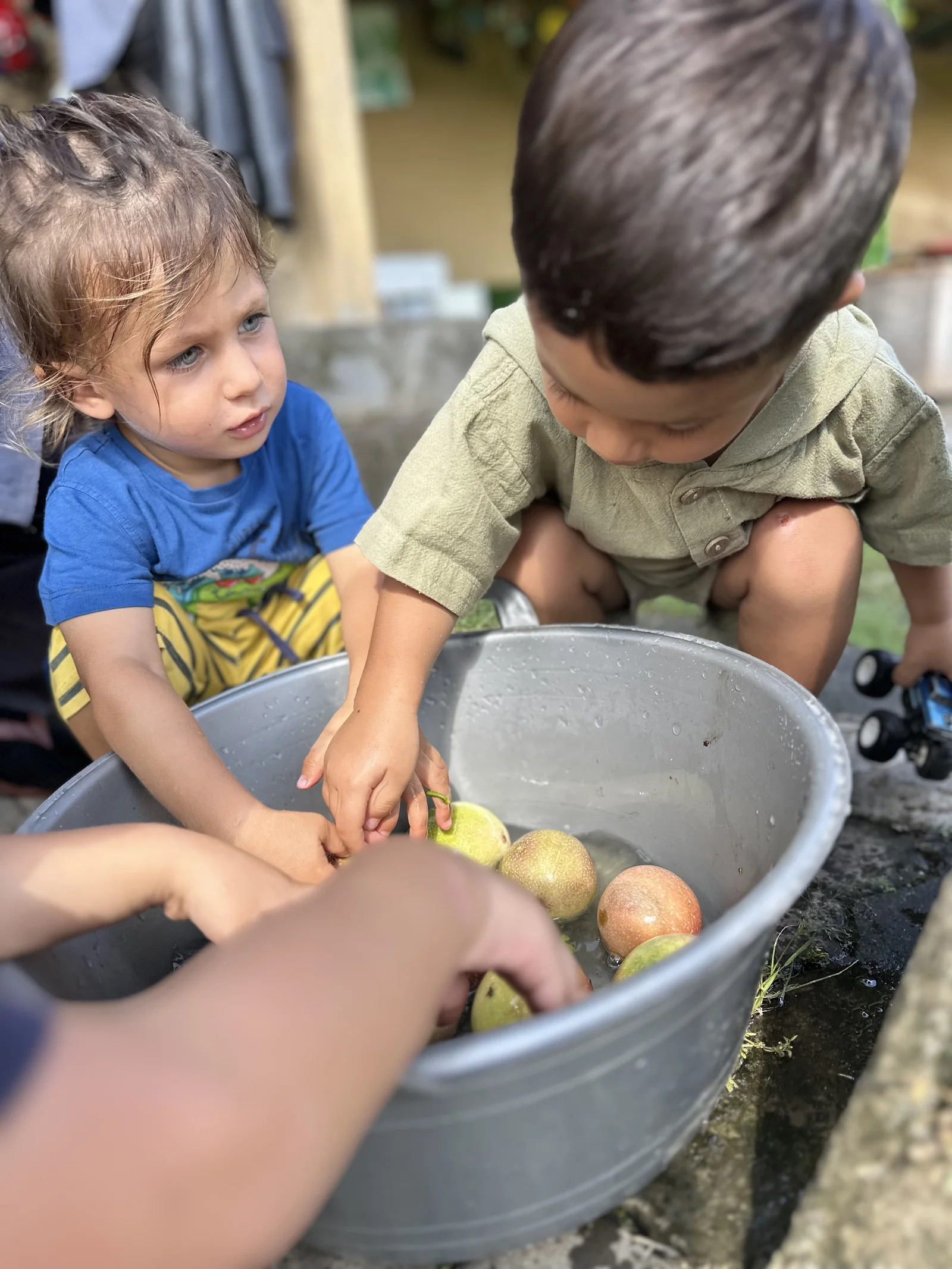 Sunny Kids Moment 75